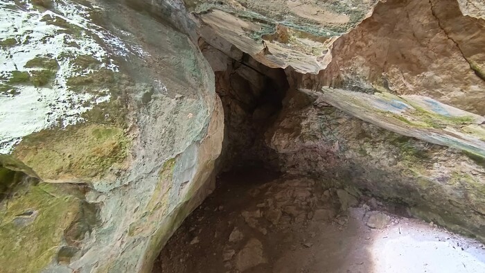 WhatsApp Image 2025-11-07 at 13.04.43 (1).jpeg