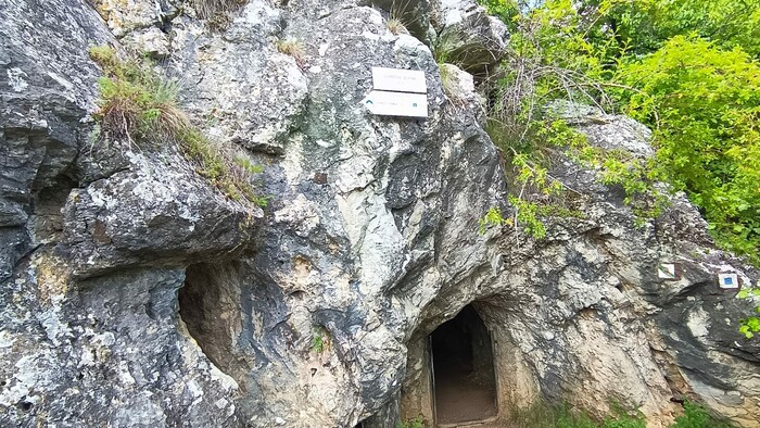 WhatsApp Image 2025-11-07 at 13.04.43 (2).jpeg