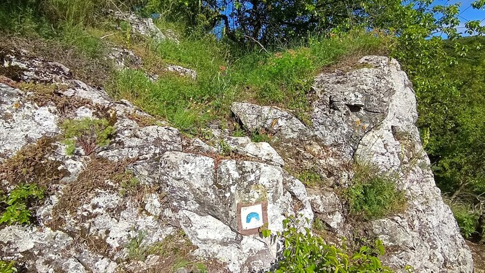 WhatsApp Image 2025-11-07 at 13.04.43 (3).jpeg