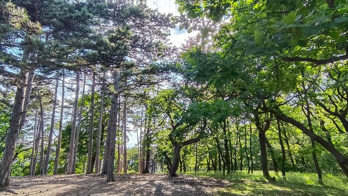 WhatsApp Image 2025-11-07 at 13.04.44 (2).jpeg