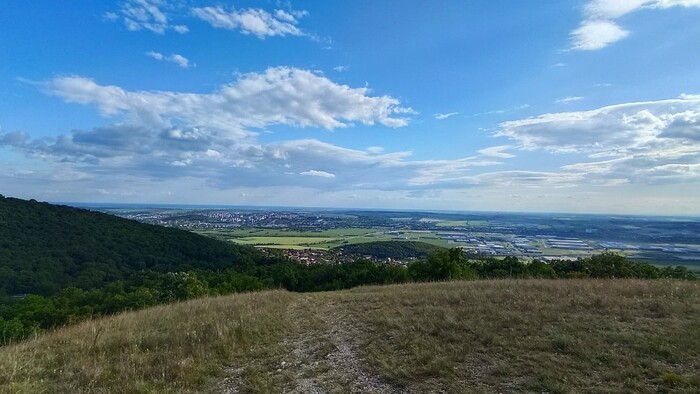 WhatsApp Image 2025-11-07 at 13.04.44 (3).jpeg