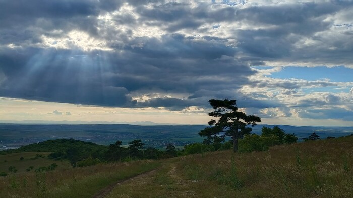 WhatsApp Image 2025-11-07 at 13.04.44 (4).jpeg