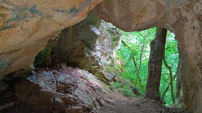 WhatsApp Image 2025-11-07 at 13.04.43.jpeg