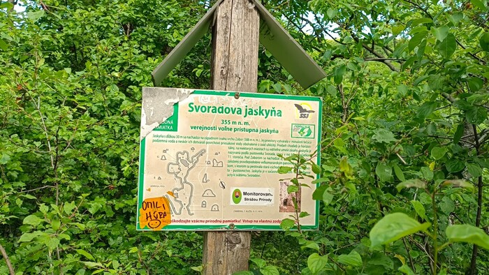 WhatsApp Image 2025-11-07 at 13.04.44.jpeg