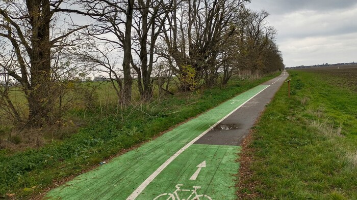 WhatsApp Image 2025-11-14 at 11.40.22 (1).jpeg