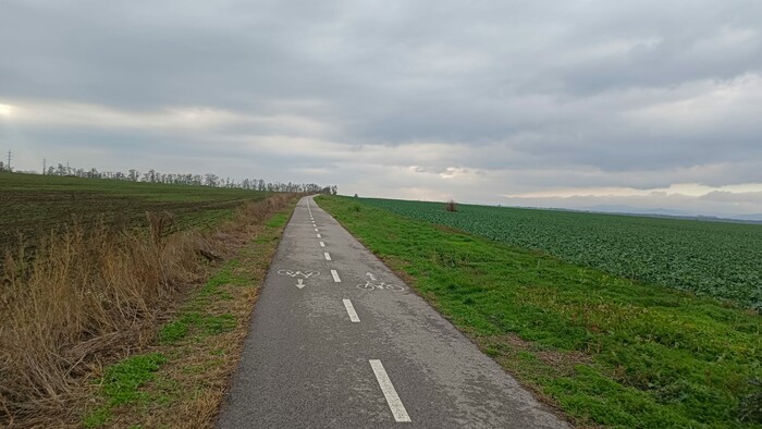 WhatsApp Image 2025-11-14 at 11.40.22.jpeg