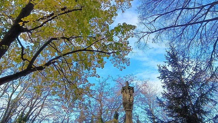 WhatsApp Image 2025-11-14 at 11.40.26 (4).jpeg