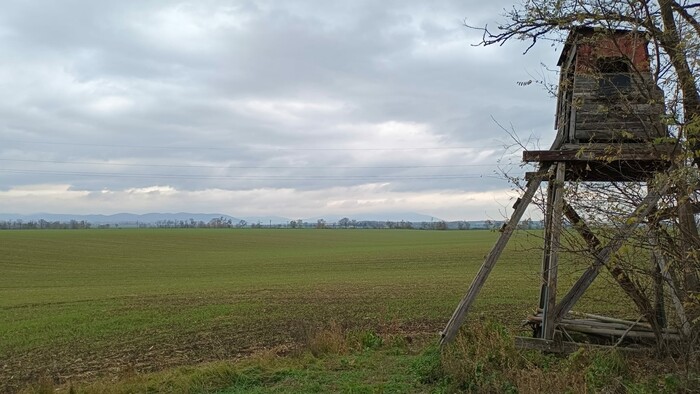 WhatsApp Image 2025-11-14 at 11.40.25.jpeg