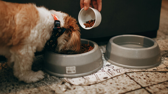 Je označenie " Kompletné krmivo" znakom kvality?