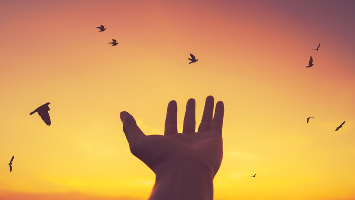 Sloboda a jej priority