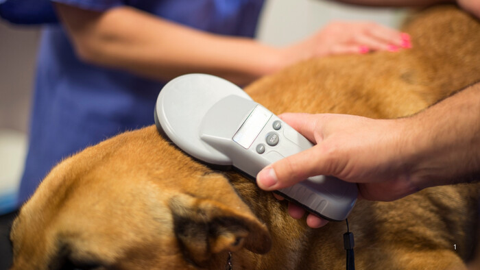 Čipovanie je potrebné 