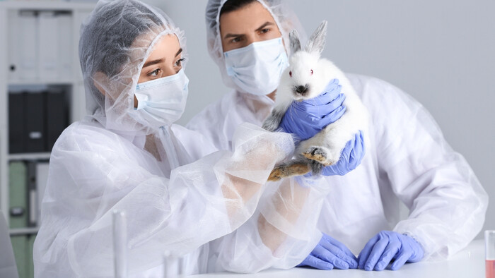 Briti obmedzia testy na zvieratách