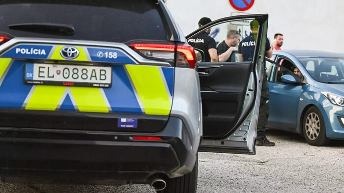 Vláda reaguje na krádeže