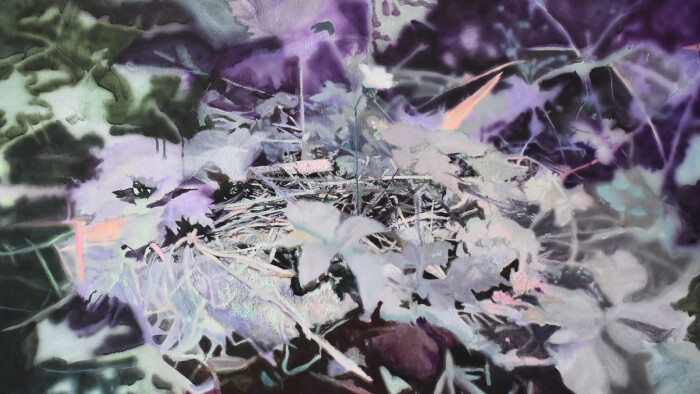 Výstava finalistky súťaže Maľba roka Dušany Vrbovskej