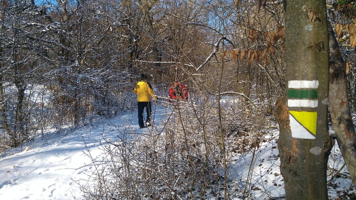 Rádiovíkend 29.11.2025 – pozvánky
