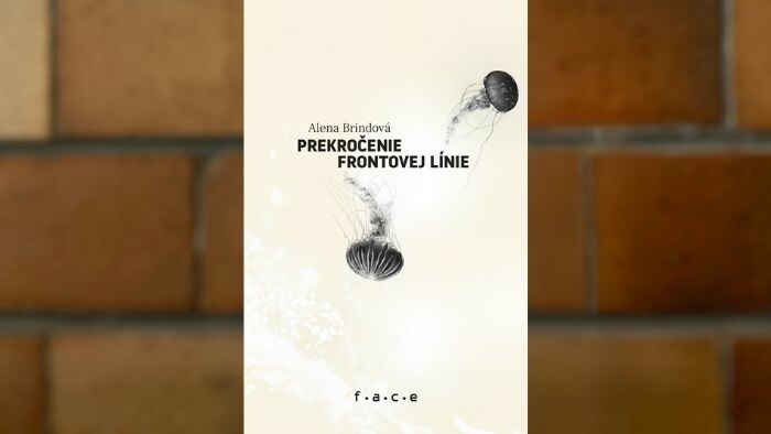 Literárna recenzia: Alena Brindová – Prekročenie frontovej línie 