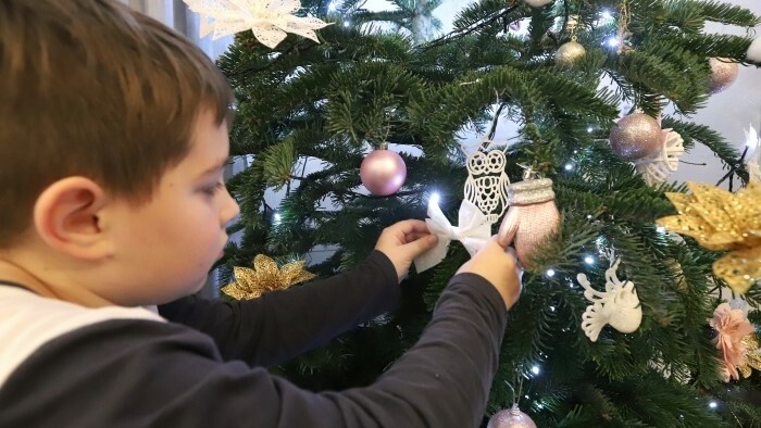 Скоро начнется продажа рождественских елок