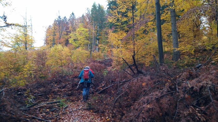 Na hrebeni Javorníkov nad Čertovom