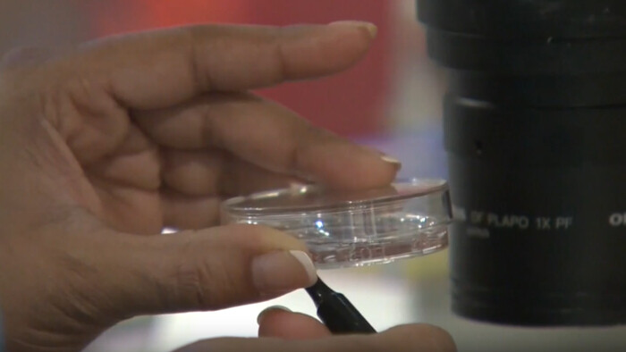 Európou sa šíri superpleseň