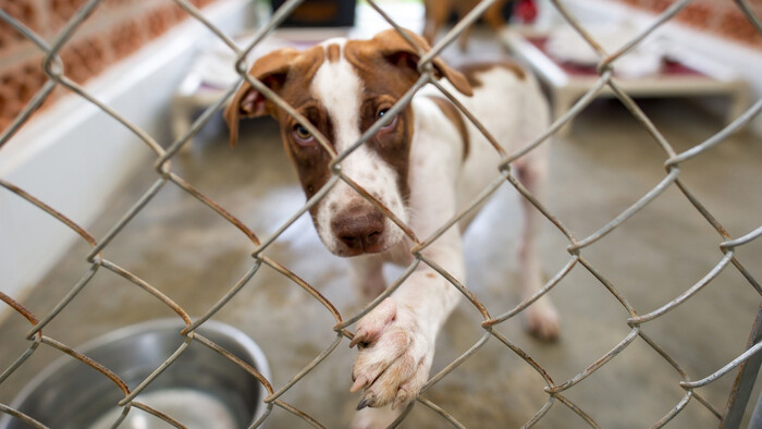 Zákon na sprísnenie množiarní