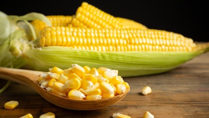 Zdravá kukurica 