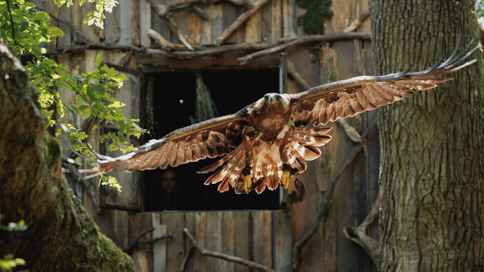 STVR-Čáry-máry-vianočná-rozprávka-2025