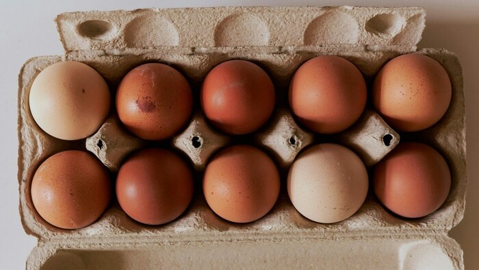 Čo bude s vajciami z klietkového chovu?