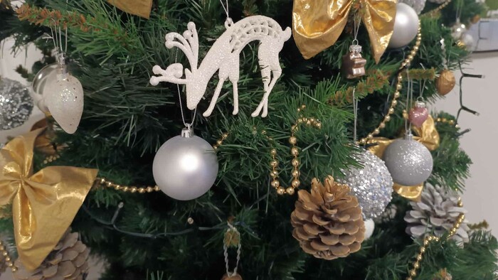 Koľko nás budú stáť tohtoročné Vianoce?