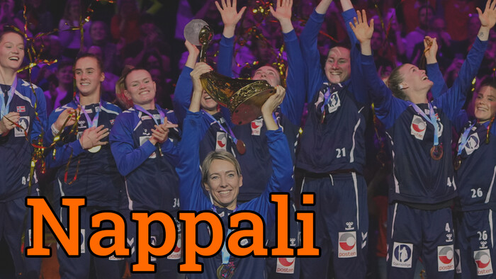 Véget ért a női kézilabda-világbajnokság