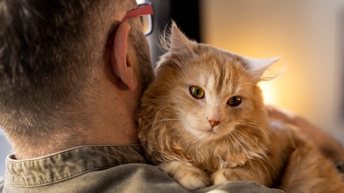 Mačky častejšie mňaukajú na mužov 