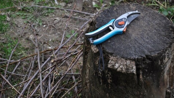 Skladovanie vrúbľov | V záhrade sme doma