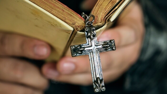 Zamyslenie / Znovuzrodenie