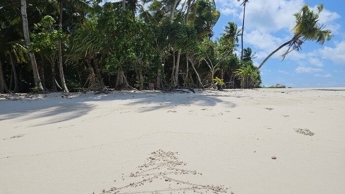 maldivy_brichtovci_009 (1).jpg