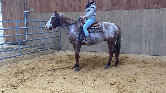 PHOTO-2025-12-16-15-56-53 (1).jpg