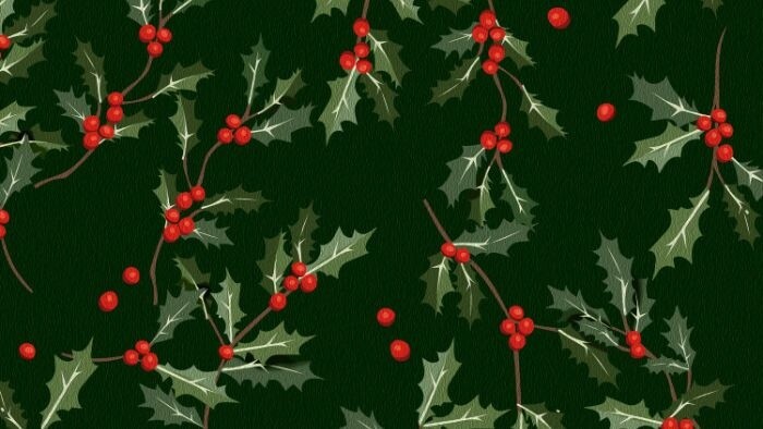 Hudobné Vianoce v Rádiu Devín 