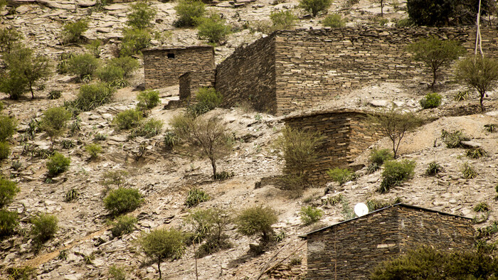 domceky v Alitene.jpg