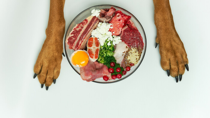 Rybí tuk ako doplnok výživy 