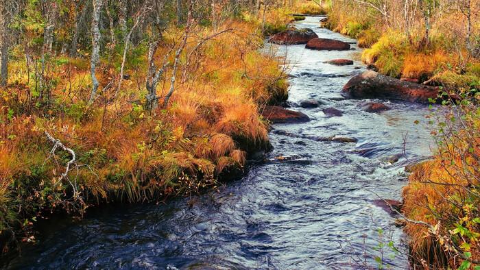 Zachraňujú vzácne biotopy v NP Slovenský raj