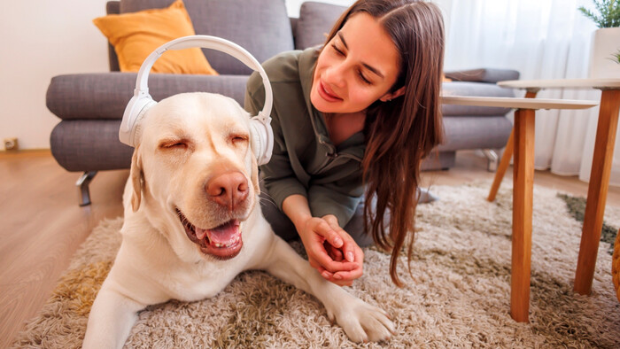 Pozor na príliš hlasnú hudbu