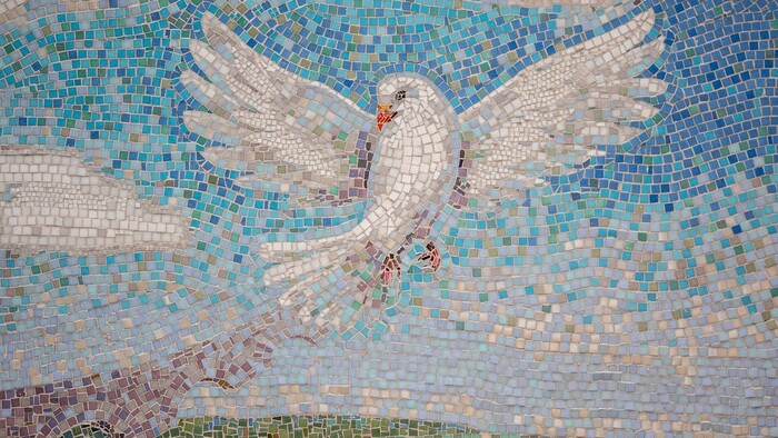 Zamyslenie / Novoročné prianie