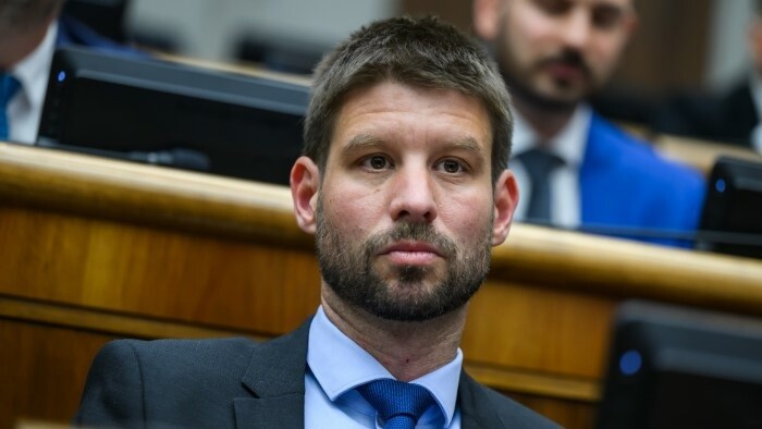 «Прогрессивная Словакия» считает приоритетными местные и региональные выборы