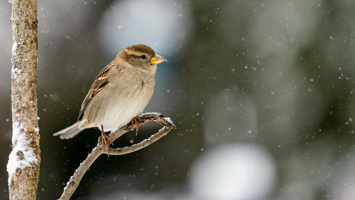Overené storočiami – to najlepšie z roka 2025