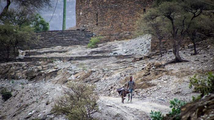 V Alitene pomahaju s chovom zvierat aj deti.jpg
