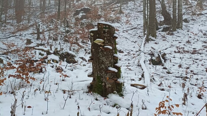 WhatsApp Image 2025-12-23 at 13.53.13 (1).jpeg