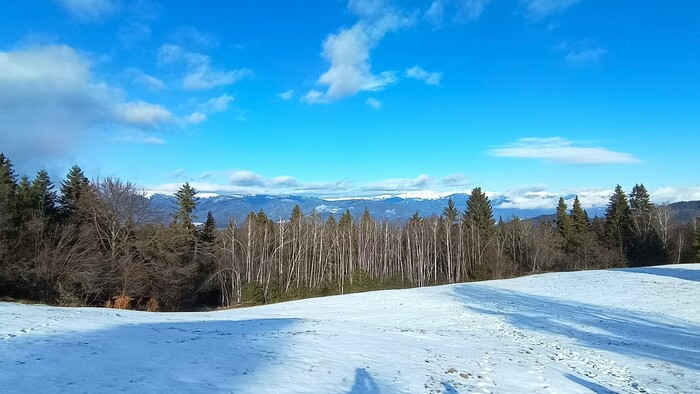 WhatsApp Image 2025-12-23 at 13.53.13 (10).jpeg