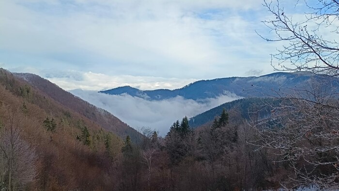 WhatsApp Image 2025-12-23 at 13.53.13 (3).jpeg