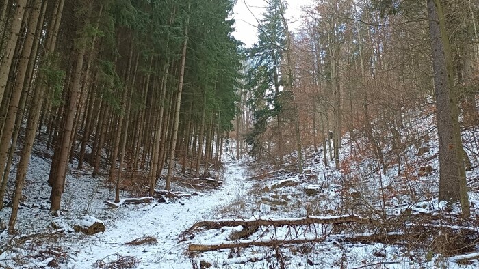 WhatsApp Image 2025-12-23 at 13.53.13 (2).jpeg