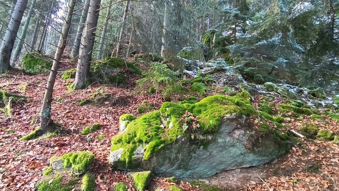 WhatsApp Image 2025-12-23 at 13.53.13 (5).jpeg