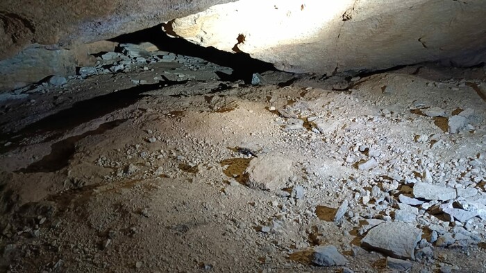 WhatsApp Image 2025-12-23 at 13.53.13 (7).jpeg