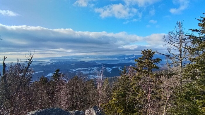 WhatsApp Image 2025-12-23 at 13.53.14 (12).jpeg